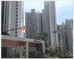  2025Ÿ��4667 ��� û�ֽ� ����� ����� ������ 981 û�ָ�����ũ���� 106�� 29��2901ȣ  ����Ʈ���