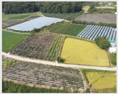  2025Ÿ��4698 ��� ������ ��ܸ� ������ 214-1      ����(��1)���