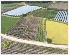  2025Ÿ��4698 ��� ������ ��ܸ� ������ 214-1      ����(��1)���