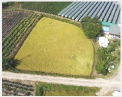  2025Ÿ��4698 ��� ������ ��ܸ� ������ 214-1      ����(��1)���