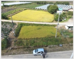  2025Ÿ��4698 ��� ������ ��ܸ� ������ 214-1      ����(��1)���