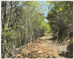  2025Ÿ51039  õ  ǿ 3-1      (Ӿ)