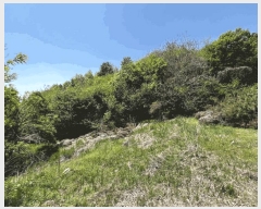  2025Ÿ51039  õ  ǿ 3-1      (Ӿ)