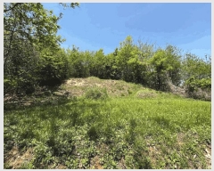  2025Ÿ51039  õ  ǿ 3-1      (Ӿ)