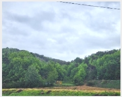  2025Ÿ51039  õ  ǿ 3-1      (Ӿ)