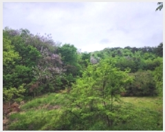  2025Ÿ51039  õ  ǿ 3-1      (Ӿ)