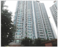  2025Ÿ51234  ûֽ   934 ǪĳƮ 506 19 1904ȣ  Ʈ