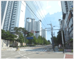  2025Ÿ51234  ûֽ   934 ǪĳƮ 506 19 1904ȣ  Ʈ