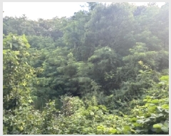  2025Ÿ��51409 ��� ���걺 �縮�� ��۸� 471      ����(��1)���