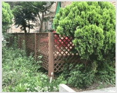  2025Ÿ��51409 ��� ���걺 �縮�� ��۸� 471      ����(��1)���