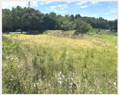  2025Ÿ51459  ûֽ  ̵ 554      (1)