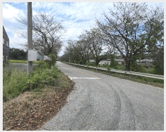  2025Ÿ��51518  ������