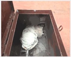  2025Ÿ��51518  ������