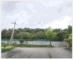  2025Ÿ��51655  �����