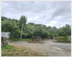  2025Ÿ��51655 ��� û�ֽ� û���� ��â�� ��õ�� ��6-1     ����(�Ӿ�)���