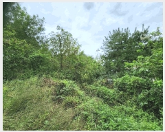  2025Ÿ��51655 ��� û�ֽ� û���� ��â�� ��õ�� ��6-1     ����(�Ӿ�)���