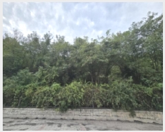  2025Ÿ��51655 ��� û�ֽ� û���� ��â�� ��õ�� ��6-1     ����(�Ӿ�)���