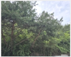  2025Ÿ��51655 ��� û�ֽ� û���� ��â�� ��õ�� ��6-1     ����(�Ӿ�)���