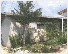  2025Ÿ��51700 ��� û�ֽ� ������ ���̸� ���¸� 100-2     ����(����)���