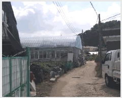  2025Ÿ��51700 ��� û�ֽ� ������ ���̸� ���¸� 100-2     ����(����)���