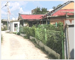  2025Ÿ��51700 ��� û�ֽ� ������ ���̸� ���¸� 100-2     ����(����)���