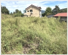  2025Ÿ��51739 ��� ���� ���ȸ� ȭ���� 172      ����(����)���