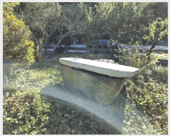  2025Ÿ��51830  �����