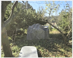  2025Ÿ��51830  �����