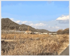  2025Ÿ��51839 ��� ������ ��ܸ� ��븮 248-4      ����(��1)���