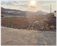  2025Ÿ��51839 ��� ������ ��ܸ� ��븮 248-4      ����(��1)���