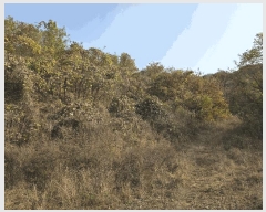  2025Ÿ��51876 ��� û�ֽ� ��籸 ���ϸ� �۾ϸ� ��24-3     ����(�Ӿ�)���