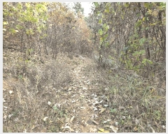  2025Ÿ��51876 ��� û�ֽ� ��籸 ���ϸ� �۾ϸ� ��24-3     ����(�Ӿ�)���