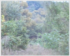  2025Ÿ��51876 ��� û�ֽ� ��籸 ���ϸ� �۾ϸ� ��24-3     ����(�Ӿ�)���