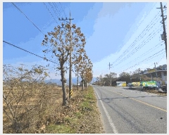  2025Ÿ��51887  ���������