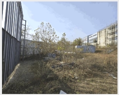  2025Ÿ��51893 ��� û�ֽ� ����� ����� �ҷθ� 403-3     ����(����)���