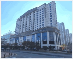  2025Ÿ��51904  �ܵ�(ȣ��)���