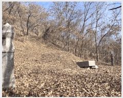  2025Ÿ��51918 ��� ���걺 ������ ������ ��35-8      ����(�Ӿ�)���