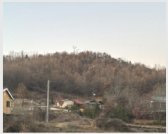  2025Ÿ��51918 ��� ���걺 ������ ������ ��35-8      ����(�Ӿ�)���