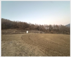  2025Ÿ��51918 ��� ���걺 ������ ������ ��35-8      ����(�Ӿ�)���