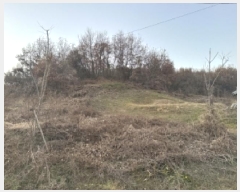  2025Ÿ��51918 ��� ���걺 ������ ������ ��35-8      ����(�Ӿ�)���