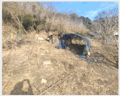  2025Ÿ1033  ûֽ û   63     ()