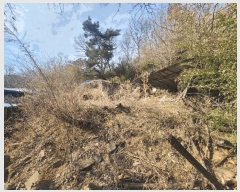  2025Ÿ1033  ûֽ û   63     ()