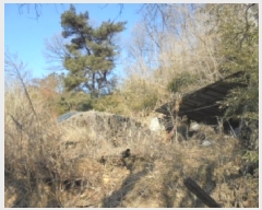  2025Ÿ1033  ûֽ û   63     ()