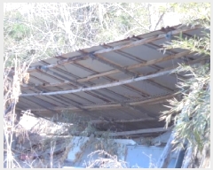  2025Ÿ1033  ûֽ û   63     ()