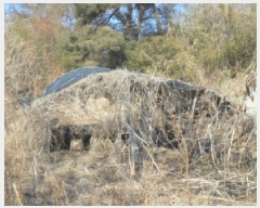  2025Ÿ1033  ûֽ û   63     ()