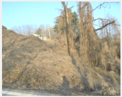  2025Ÿ��1125 ��� ���� ���ȸ� ������ 805      ����(�Ӿ�)���