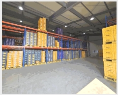  2025Ÿ1521  õ  ô 159-5      