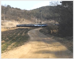  2025Ÿ��1613  �Ӿ߰��