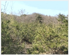  2025Ÿ��1613  �Ӿ߰��