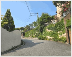  2025Ÿ��1828 ��� û�ֽ� ������ ���̸� ���Ǹ� 25-39     ���ð��